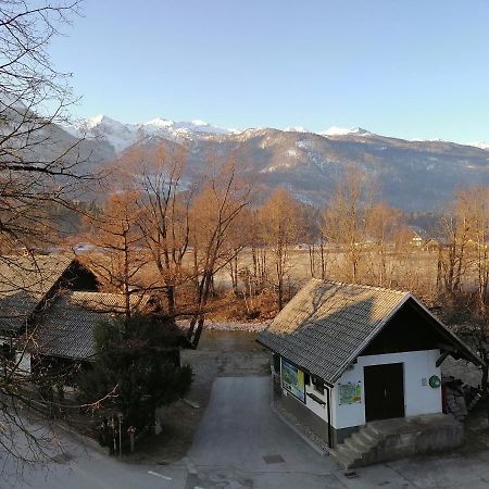 Apartma Kosnik Perunika Bohinj Buitenkant foto