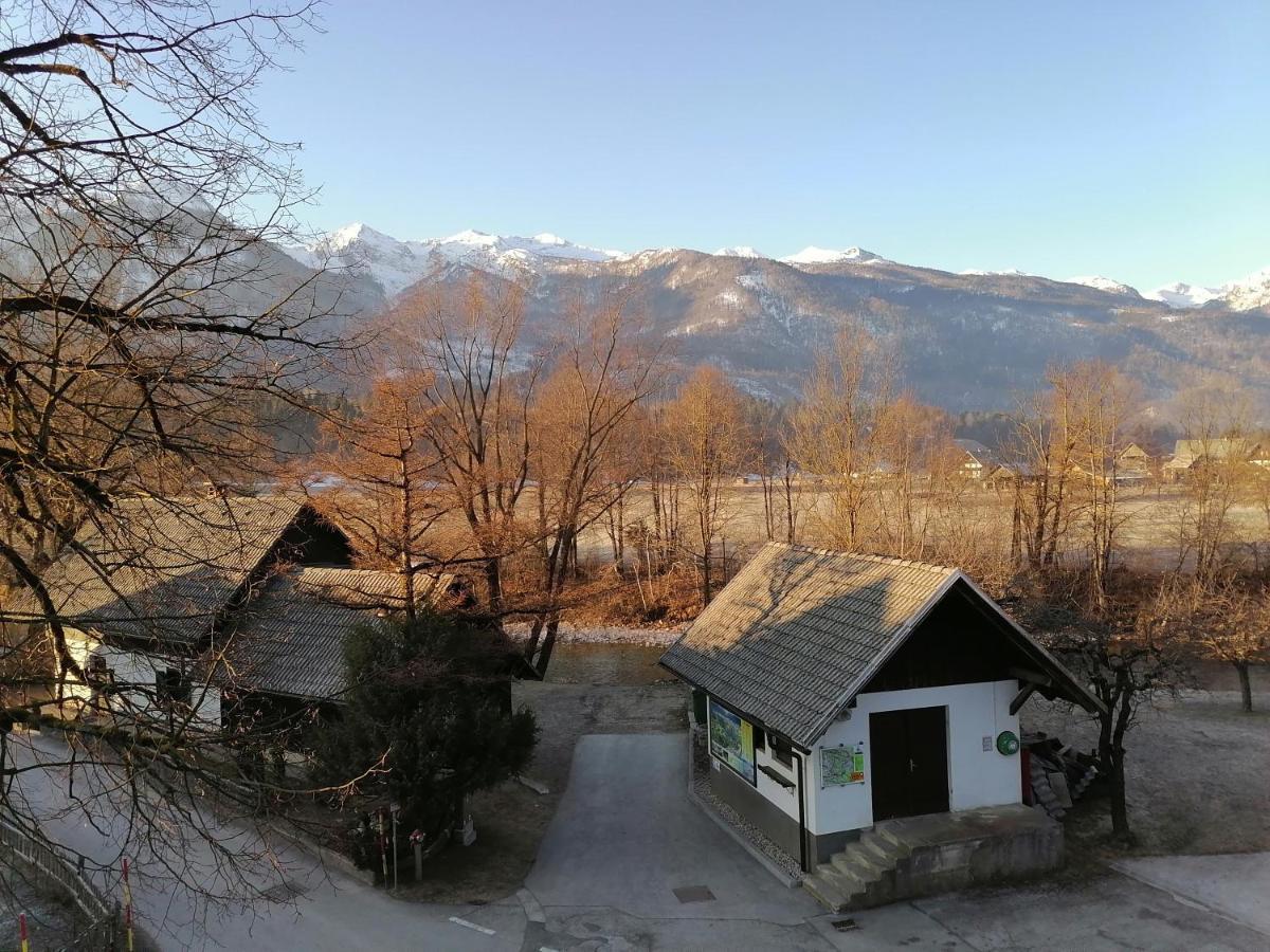 Apartma Kosnik Perunika Bohinj Buitenkant foto